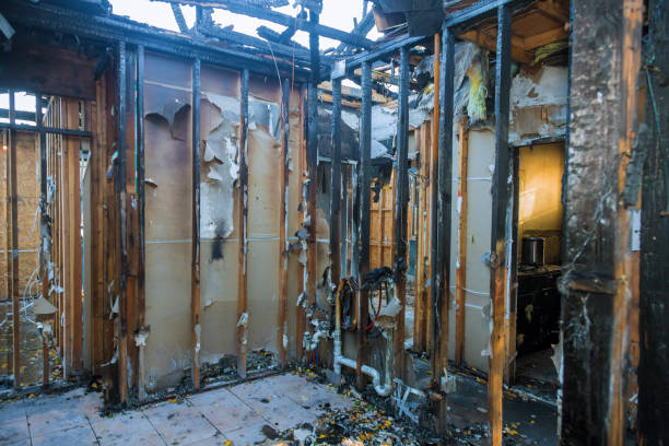 Professional Fire Damage Removal technician working in Campbell, FL